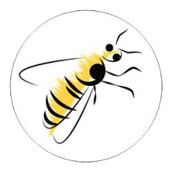 Sweet Honeybee Health